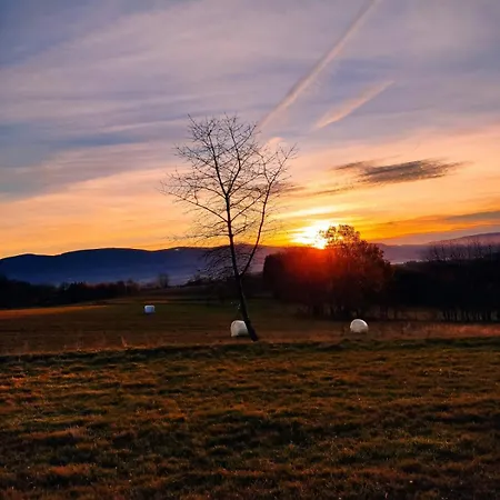 Gniewoszów 11 Gospodarstwo agroturystyczne *
