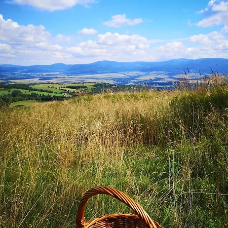 Gospodarstwo agroturystyczne Gniewoszów 11 *