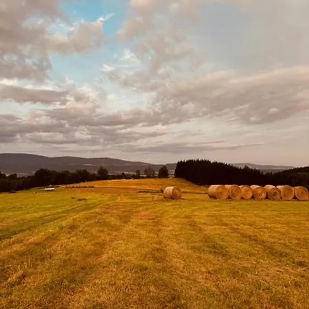 Gnievo Farm stay Miedzylesie (Silesia)