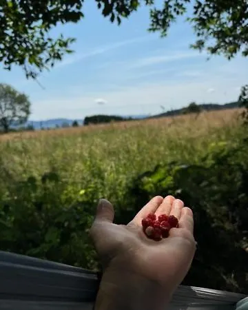 Gnievo Bauernhof *